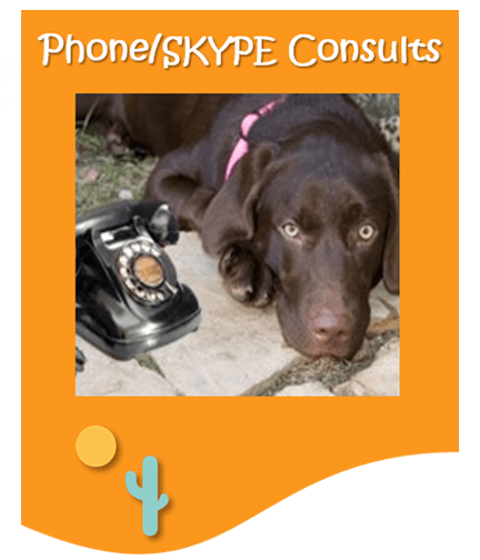 Best Dog Training Call 480-272-8816 for Dog Training in Chandler, AZ, Dog Training in Gilbert, AZ, Dog Training in Tempe, AZ, Dog Training in Mesa, AZ, Dog Training in Ahwatukee, AZ and surrounding areas. Be Kind To Dogs Kathrine Breeden