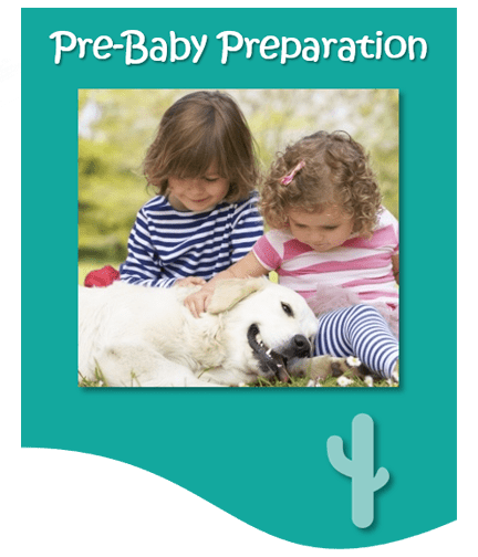 pre baby button testimonial for Best Dog Training Call 480-272-8816 for Dog Training in Chandler, AZ, Dog Training in Gilbert, AZ, Dog Training in Tempe, AZ, Dog Training in Mesa, AZ, Dog Training in Ahwatukee, AZ and surrounding areas. Be Kind To Dogs Kathrine Breeden Best Dog Training Call 480-272-8816 for Dog Training in Chandler, AZ, Dog Training in Gilbert, AZ, Dog Training in Tempe, AZ, Dog Training in Mesa, AZ, Dog Training in Ahwatukee, AZ and surrounding areas. Be Kind To Dogs Kathrine Breeden
