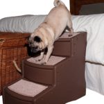recommended by Be Kind To Dogs - Dog Training Call 480-272-8816 for Dog Training in Chandler, AZ, Dog Training in Gilbert, AZ, Dog Training in Tempe, AZ, Dog Training in Mesa, AZ, Dog Training in Ahwatukee, AZ and surrounding areas. Be Kind To Dogs Kathrine Breeden