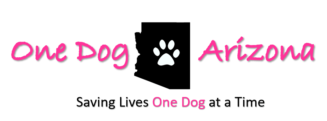 recommended by Be Kind To Dogs - Dog Training Call 480-272-8816 for Dog Training in Chandler, AZ, Dog Training in Gilbert, AZ, Dog Training in Tempe, AZ, Dog Training in Mesa, AZ, Dog Training in Ahwatukee, AZ and surrounding areas. Be Kind To Dogs Kathrine Breeden