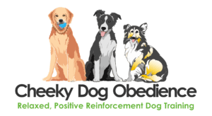 Be Kind To Dogs - Dog Training Call 480-272-8816 for Dog Training in Chandler, AZ, Dog Training in Gilbert, AZ, Dog Training in Tempe, AZ, Dog Training in Mesa, AZ, Dog Training in Ahwatukee, AZ and surrounding areas. Be Kind To Dogs Kathrine Breeden