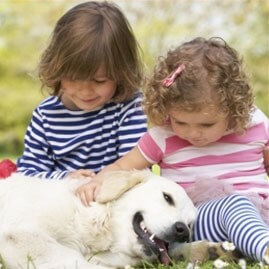 dog with children