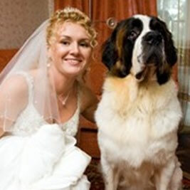 dog at wedding