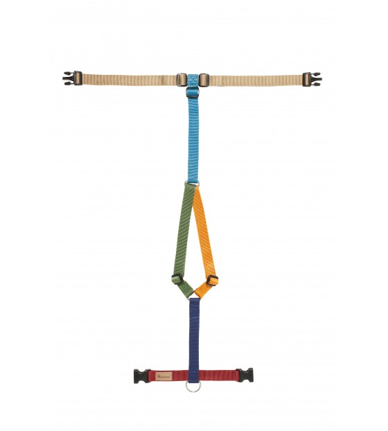 multicolor-harness