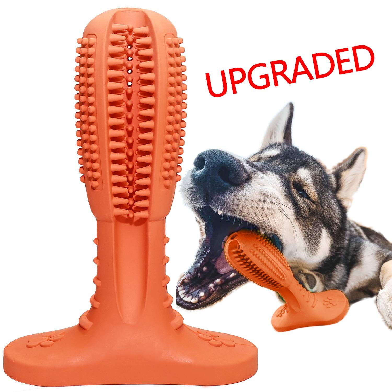 wisedom dog toothbrush